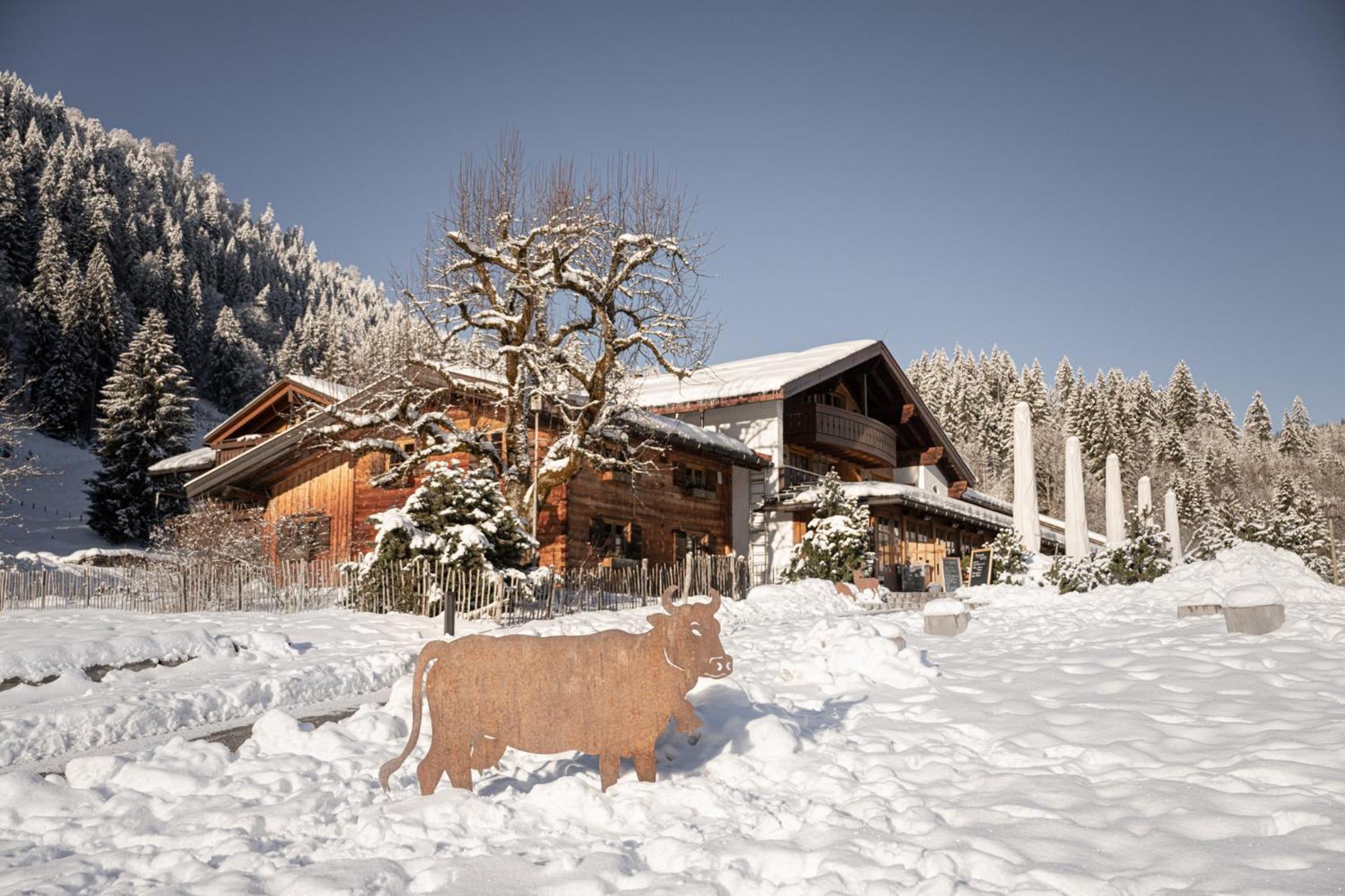מלון אוברסטדורף Alpe Dornach מראה חיצוני תמונה